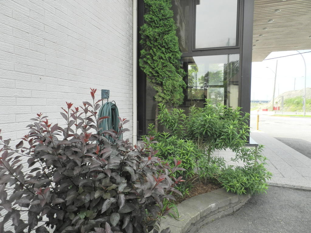L'Auberge De L'Aeroport Inn Dorval Esterno foto
